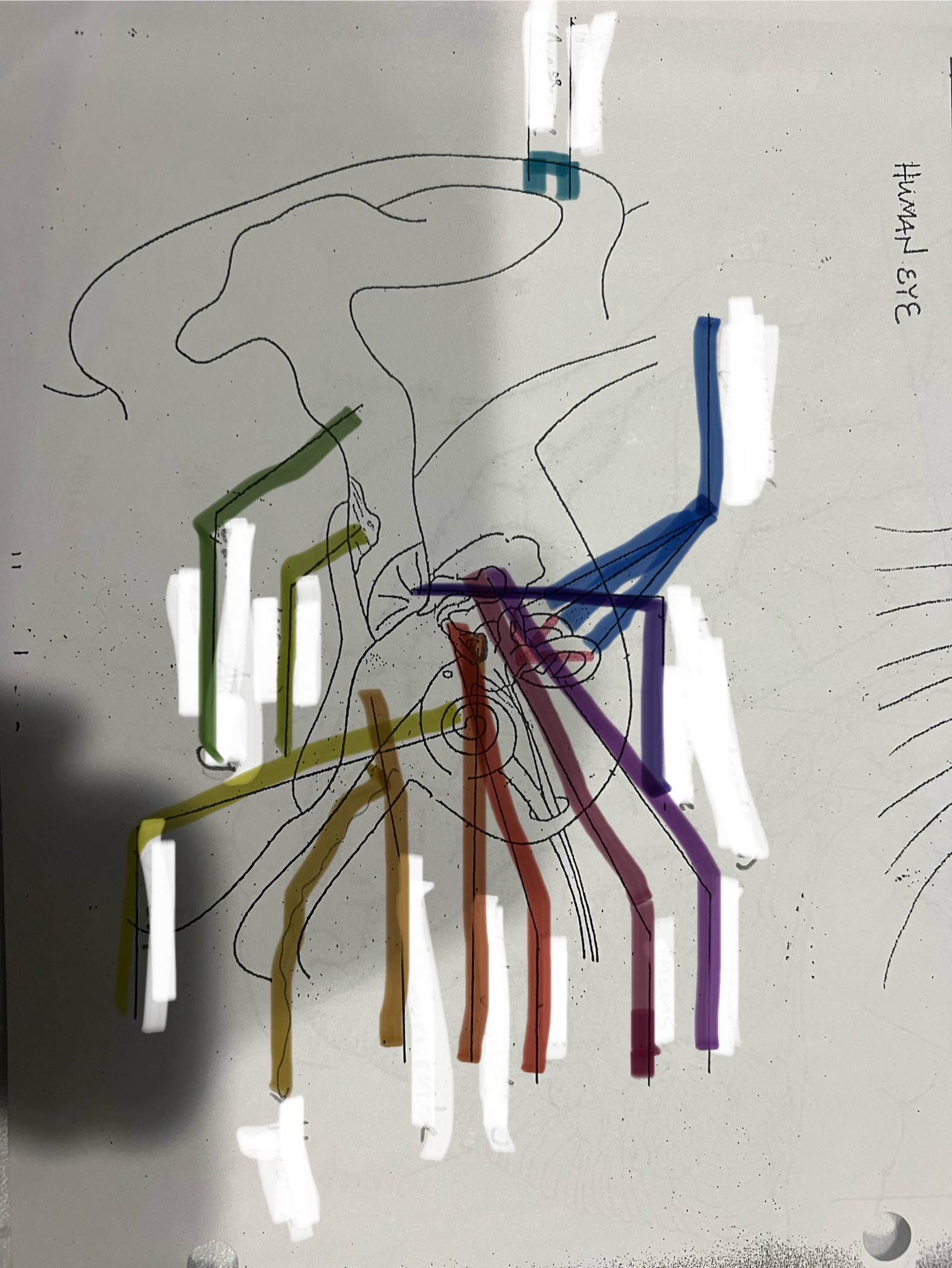 <p>dark blue</p>