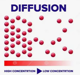 <p>Diffusion</p>