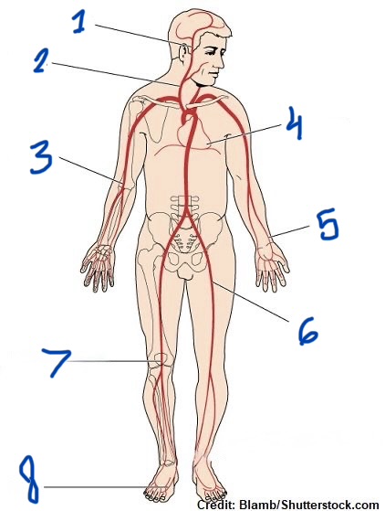 <p>What is Number 6?</p>