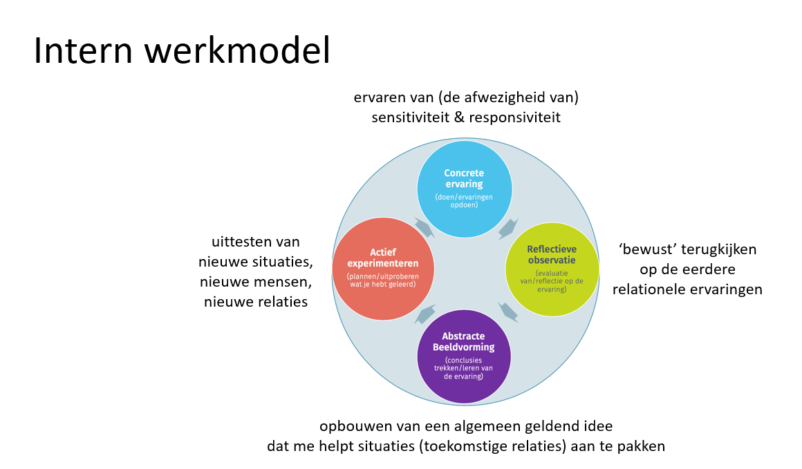 <p>Alle vroegere hechtingervaringen worden gebundeld en opgenomen in de persoonlijkheid als interne werkmodellen. Er vormt zich een soort raamwerk van alle werkmodellen.</p><p>Alle verdere ervaringen in het leven worden vanuit dit raamwerk beoordeeld terwijl het raamwerk ook weer wordt aangepast door nieuwe ervaringen.</p><p>Het intern werkmodel bevat dus de verwachtingen over het gedrag van ouderen (bv: kind-opvoeder) en maakt hiermee gedrag van anderen voorspelbaar. Het kind leert ermee vertrouwen op anderen en zichzelf (of wantrouwen bij onveilige hechting).</p><p>Wanneer een kind vertrouwt op anderen en zichzelf ontstaat er een intern werkmodel van de “eigen-ik”. Het kind kan hierdoor een (positief) zelfbeeld, vertrouwen in zichzelf en het gevoel van ik mag er zijn ontwikkelen. Het kind krijgt ook het besef van een ik en de ander.</p>