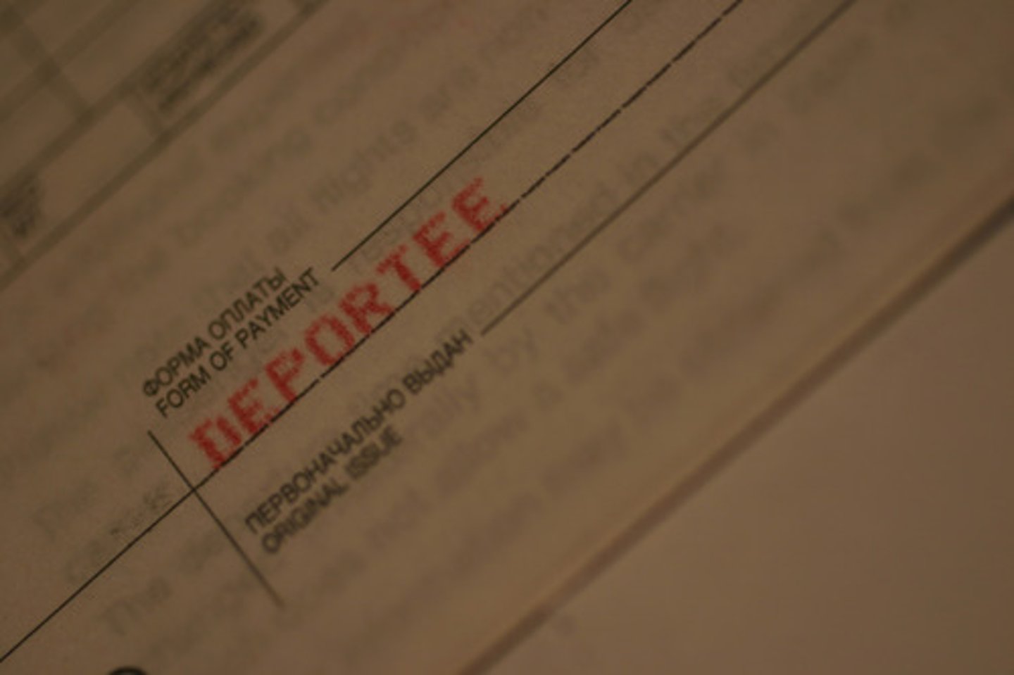 <p>A 1920 operation coordinated by Attorney General in which federal marshals raided the homes of suspected radicals and the headquarters of radical organization in 32 cities.</p>