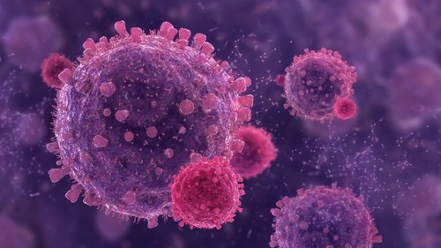 <p>White blood cells that respond to foreign pathogens, such as bacteria or viruses.</p>