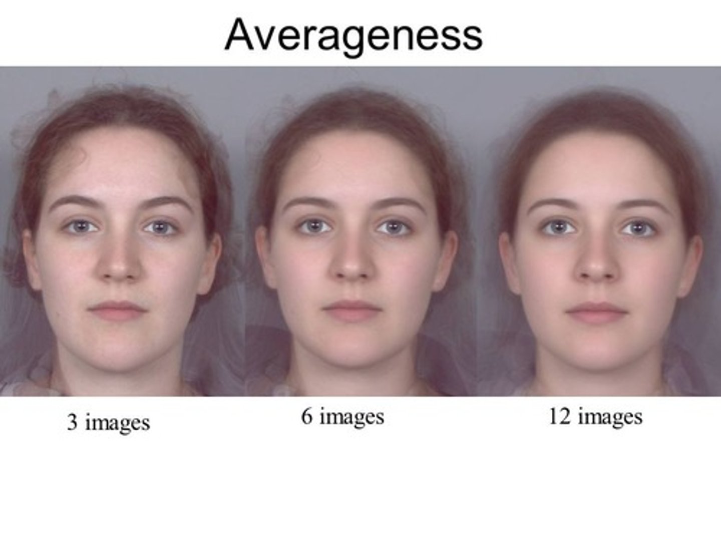 <p>(D) 16 Face Average</p><p>Facial averageness is seen as more attractive.</p>