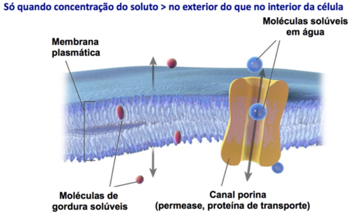 <p>Difusão Passiva:</p><p>Não envolve proteínas transportadoras</p><p>Não é necessária energia do metabolismo</p><p>Movimento reversível</p><p>Não específico</p><p>Ex: O2, H2O, CO2</p><p>Difusão Facilitada:</p><p>Envolve proteínas transportadoras (permeases)</p><p>Não é necessária energia do metabolismo</p><p>Movimento reversível</p><p>Pode ser específico</p><p>Ex: glicerol</p>