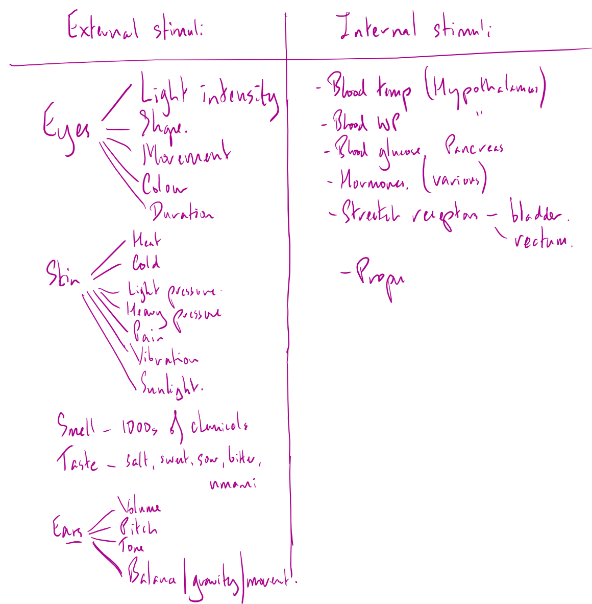 knowt flashcard image