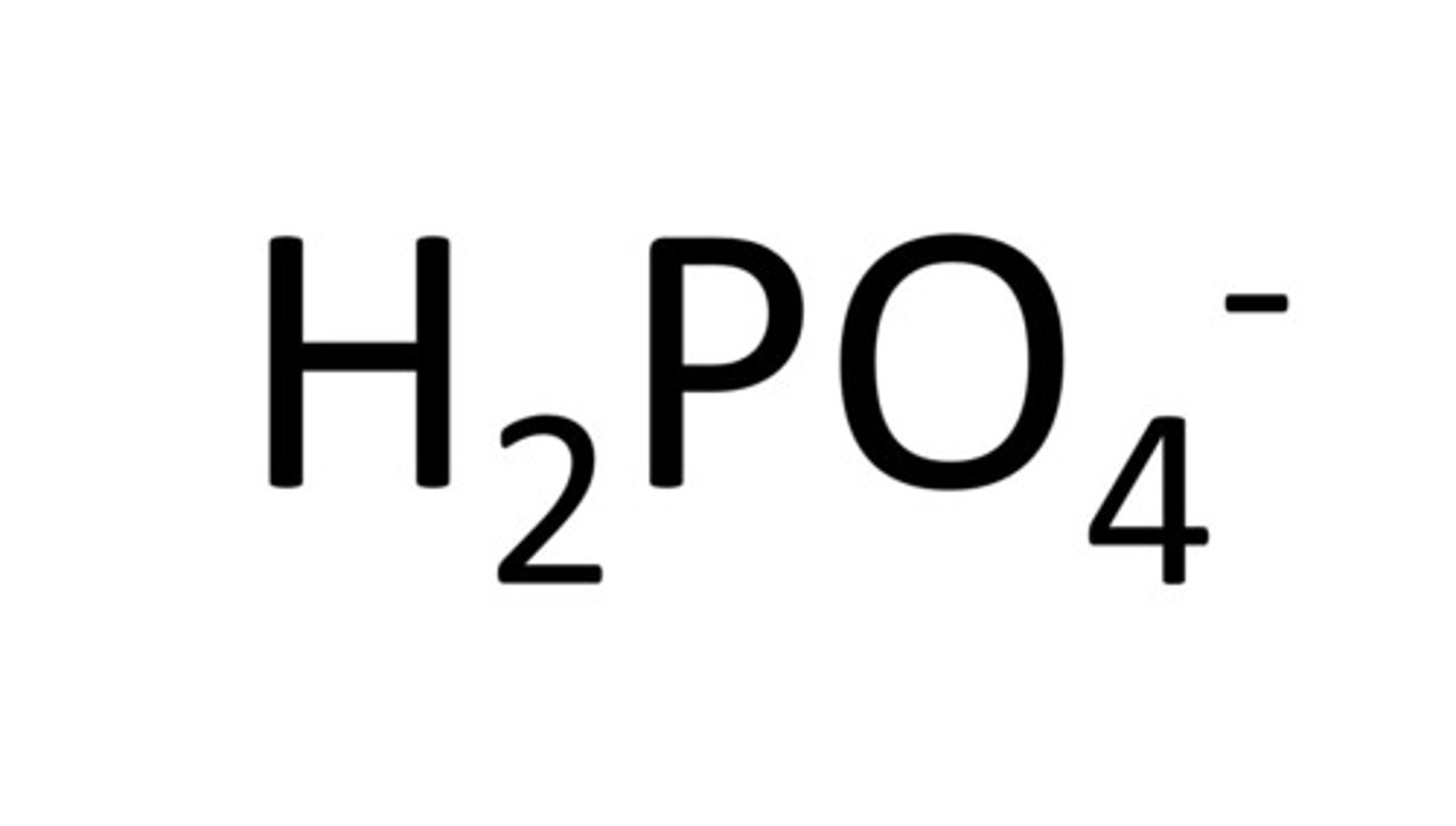 <p>H_2 PO_4 -</p>