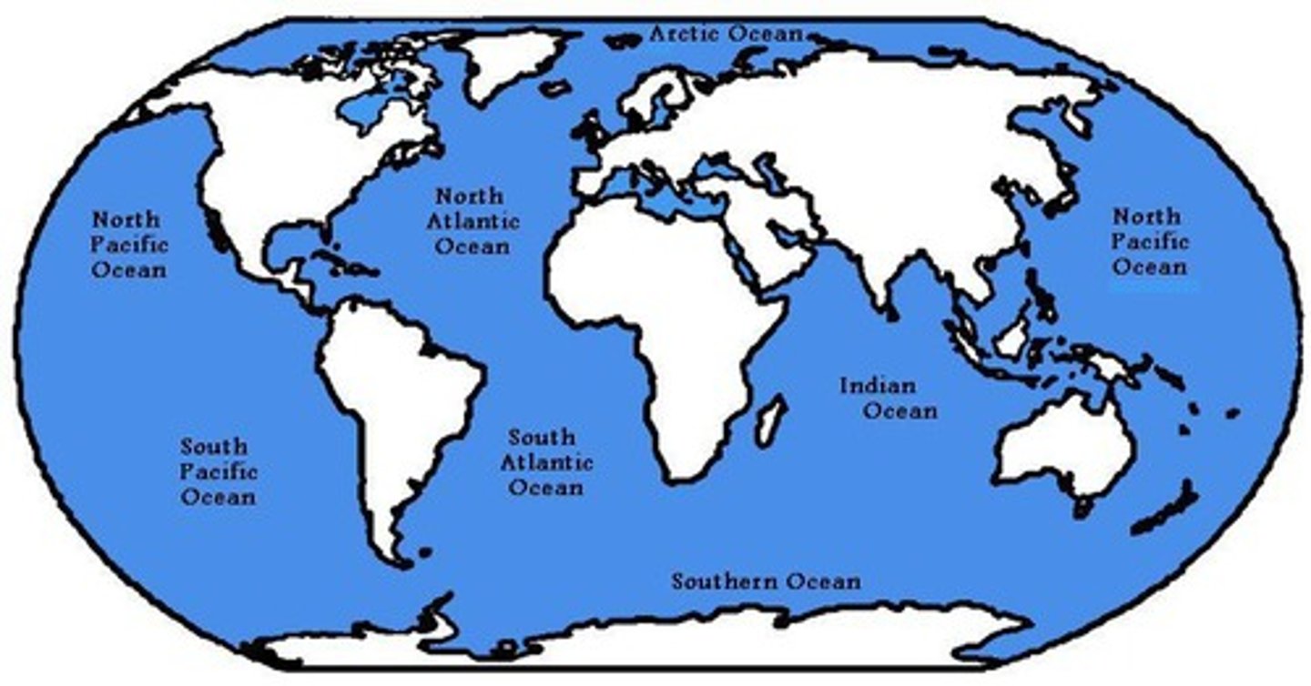 <p>Largest ocean, covering more area than others.</p>