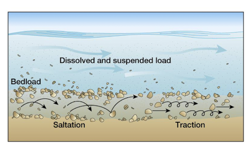 <p>sediment particles which are too heavy to be suspended</p><p>move by rolling, sliding, and saltation</p><p>needs stream depth 10x sediment diameter</p><p>increases with higher stream velocity</p>