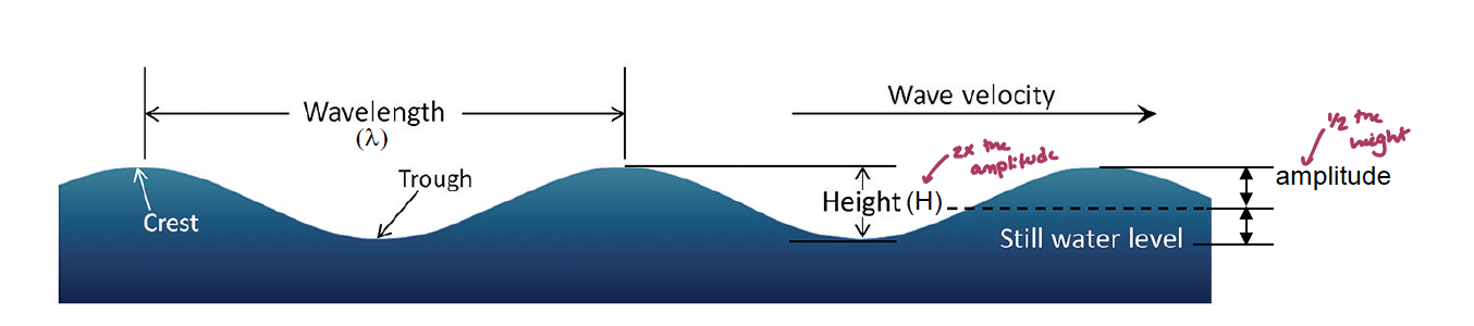 <p>Waves are periodic disturbances in the surface of the ocean created by wind, gravity, or other displacements of water (earthquakes). </p><p>The waves are the transfer of energy through the water (NOT the movement of water) that are manifest at the interface of fluids of different density (i.e., surface waves or internal waves). </p><p>Waves have characteristic structures and patterns of travel: wave height is 2x the amplitude</p><ol><li><p><span style="font-family: Arial; line-height: normal; font-size: 11.5px;"><span>(λ) </span></span>Wave period (<em>T</em>) = time for a wave to travel past a point (complete one cycle)</p></li><li><p>Wave frequency (<em>f </em>= 1/<em>T</em>) = number of waves that pass a point per second </p></li><li><p>Wave speed (<em>v </em>= λ/<em>t</em>) = distance a wave travels past a point per second - for waves not affected by the bottom</p></li><li><p>Wave steepness = <em>H/</em>λ if <em>H/</em>λ is greater than 1/7, then the waver will break (white cap)</p></li></ol><p></p>