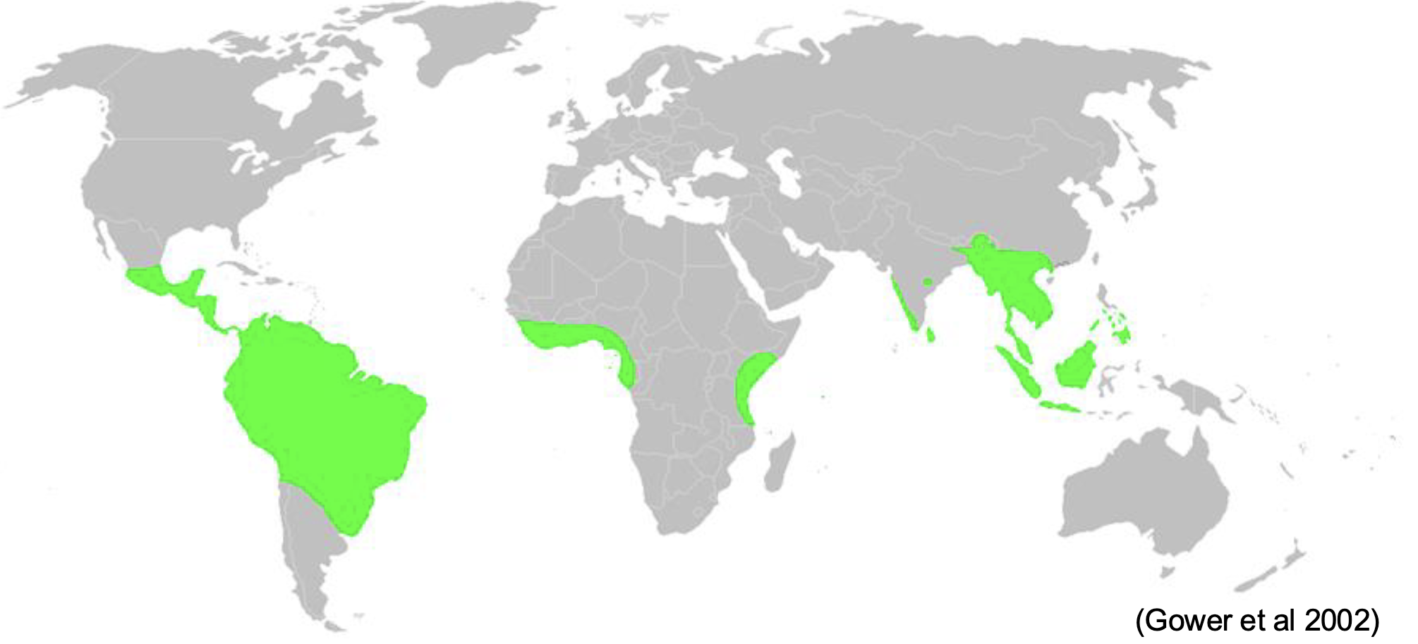<p>Caecilian distribution </p>