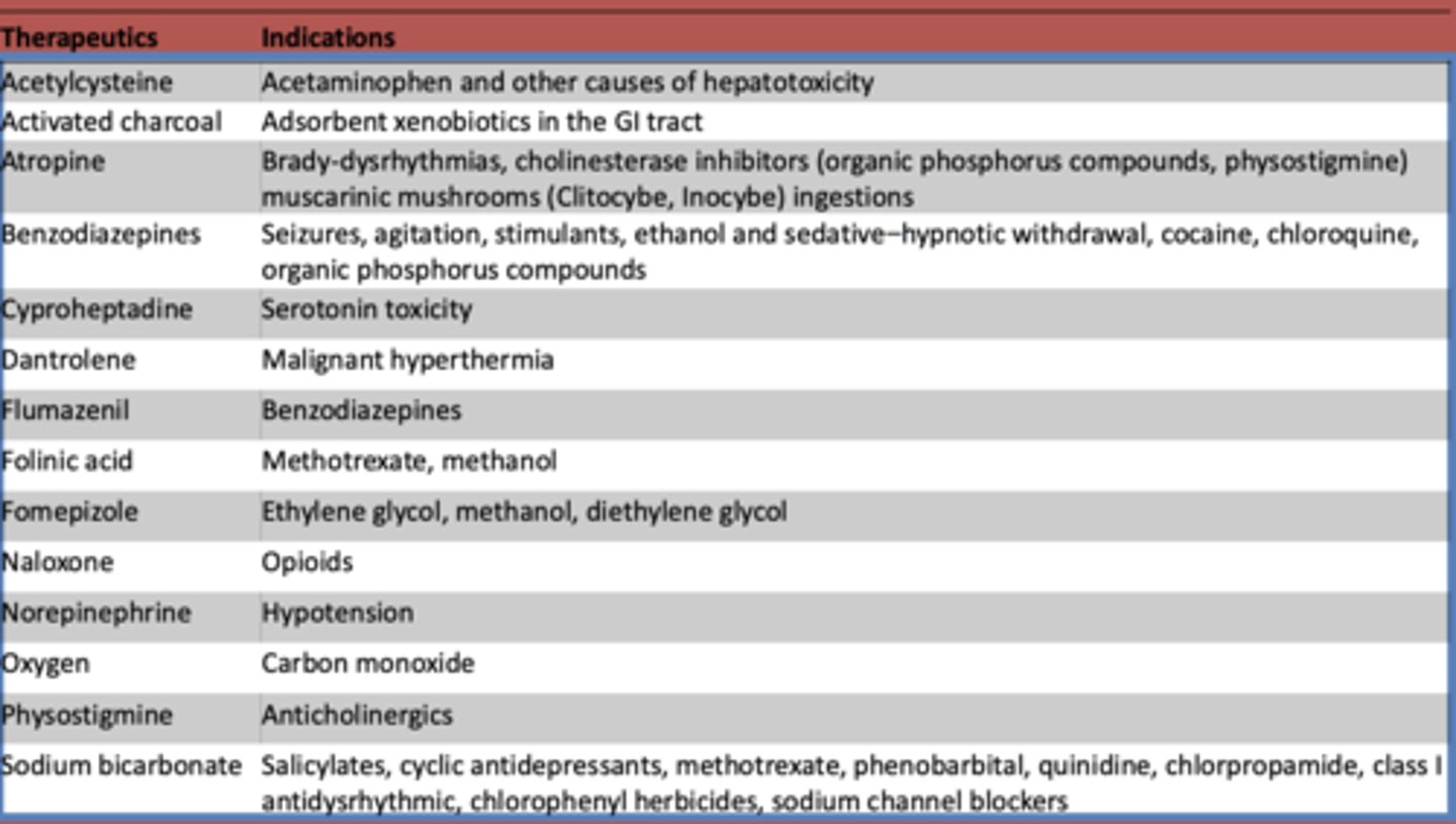 <p>serotonin toxicity</p>