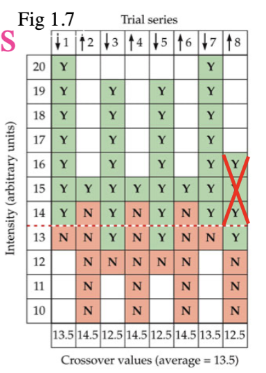 <p>alternate between descending intensity (until participant says they can’t hear) and ascending intensity during trials (until participant can hear) and determine cross-over point between each series (average)</p><ul><li><p>not necessary to obtain a psychometric function, saves time</p></li><li><p>standard and comparison stimuli presented together</p></li><li><p>upper limit: crossover point stronger and equal on each series</p></li><li><p>lower limit: crossover point between equal and weaker on each series</p></li><li><p>JND = (average upper limit - average lower limit)/2</p></li><li><p>PSE  = (average upper limit + average lower limit)/2</p></li></ul><p></p>