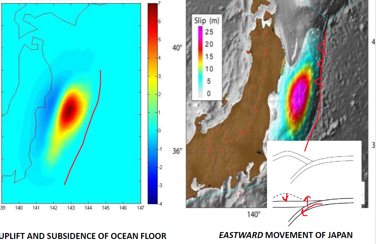 <p>Seafloor moved eastwards and upwards, meaning the sea level the defenses were built for were lower than the sea levels post EQ</p>