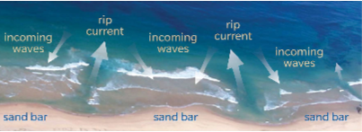 * Where undertow converges and makes very strong currents that funnels outwards
* Causes a lot of erosion
* Self-sustaining
* Happens at regular intervals
* Safety hazard when swimming
  * Swim parallel to beach to exit current!