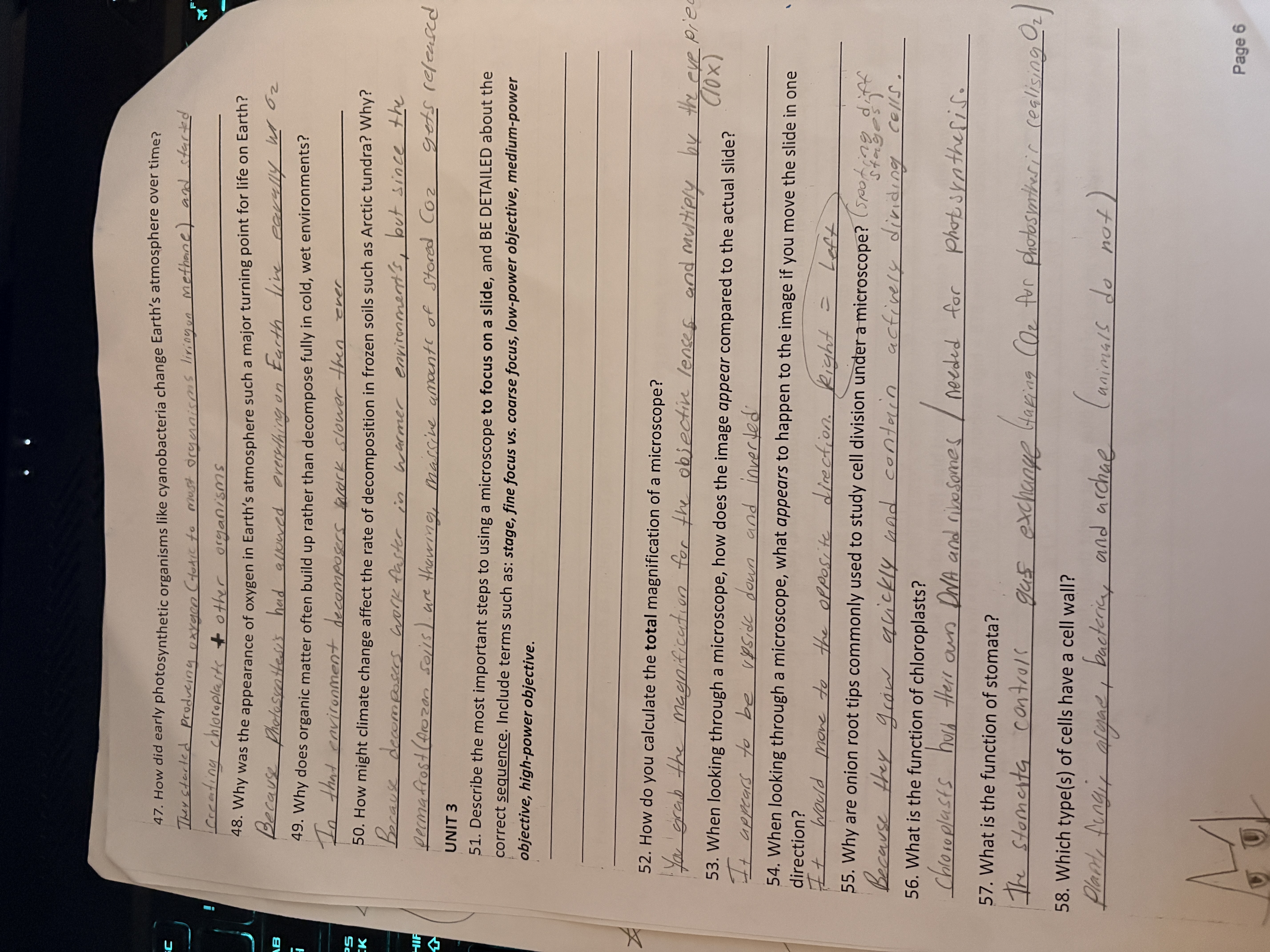 knowt flashcard image