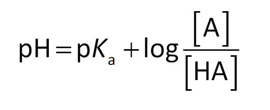 which equation is this? and what does it find?