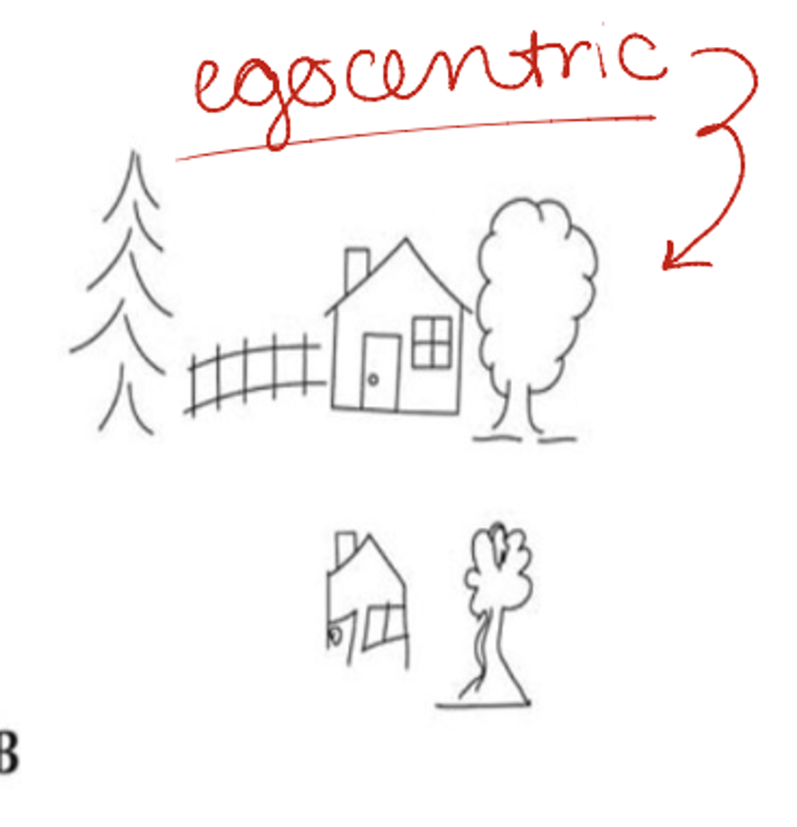 <p>body-centered/viewer-centered</p><p>- Individuals make errors/omissions on L side</p><p>- Typically focused on more in research- Greater disability risk</p>