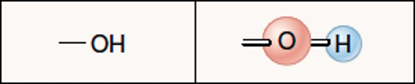 <p>Name this functional group.</p>