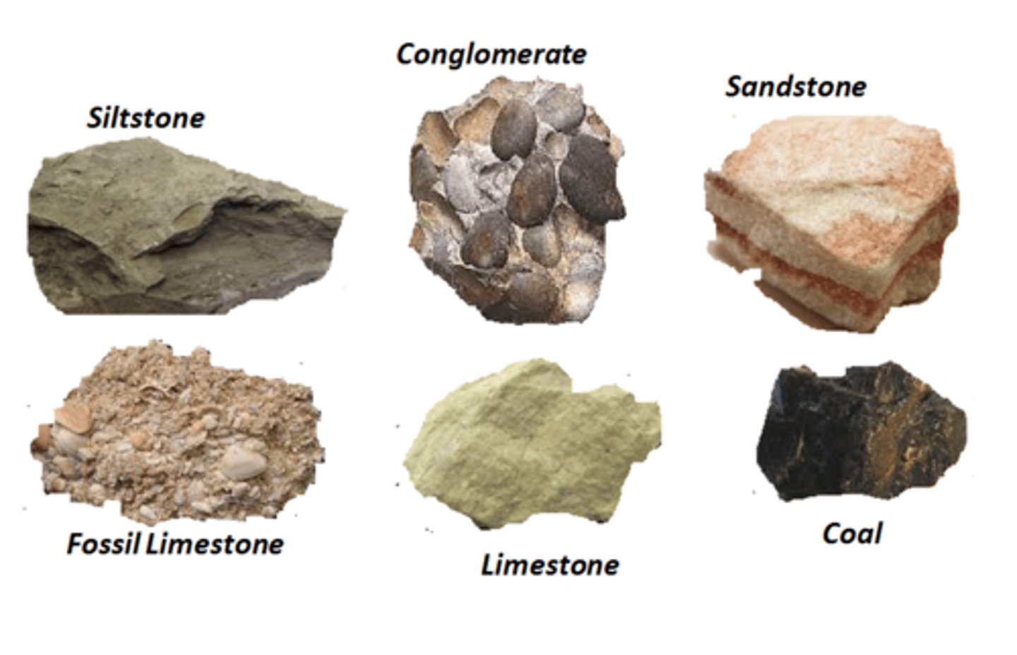 <p>examples of sedimentary rocks</p>