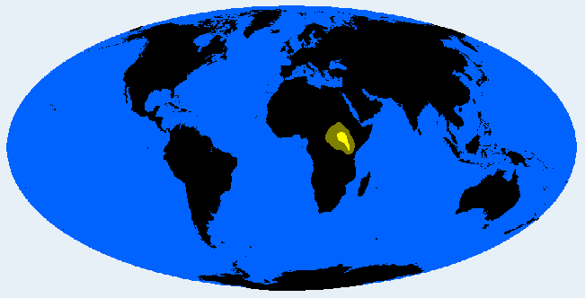 <p>South Nilotid (Nilotid)</p>