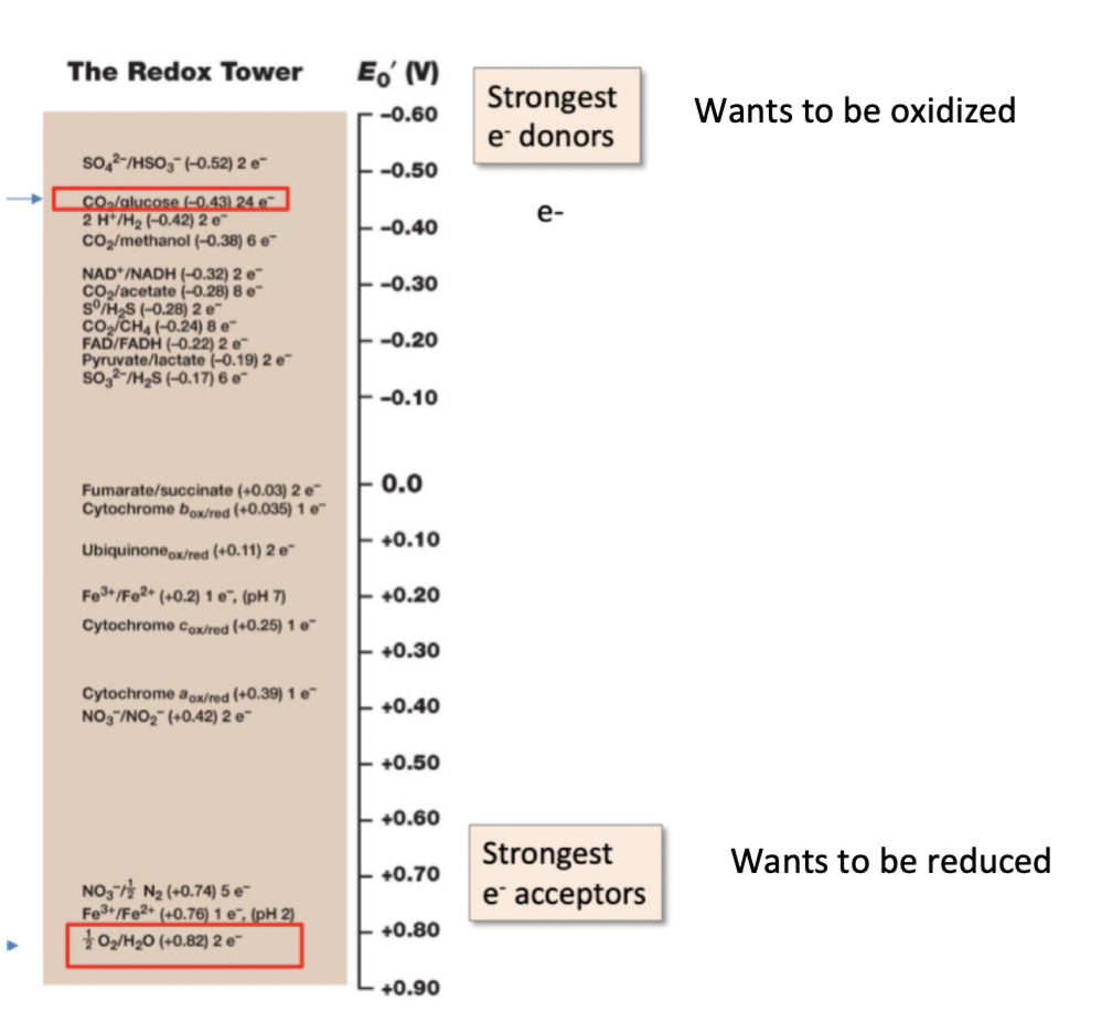 **Redox reactions**     