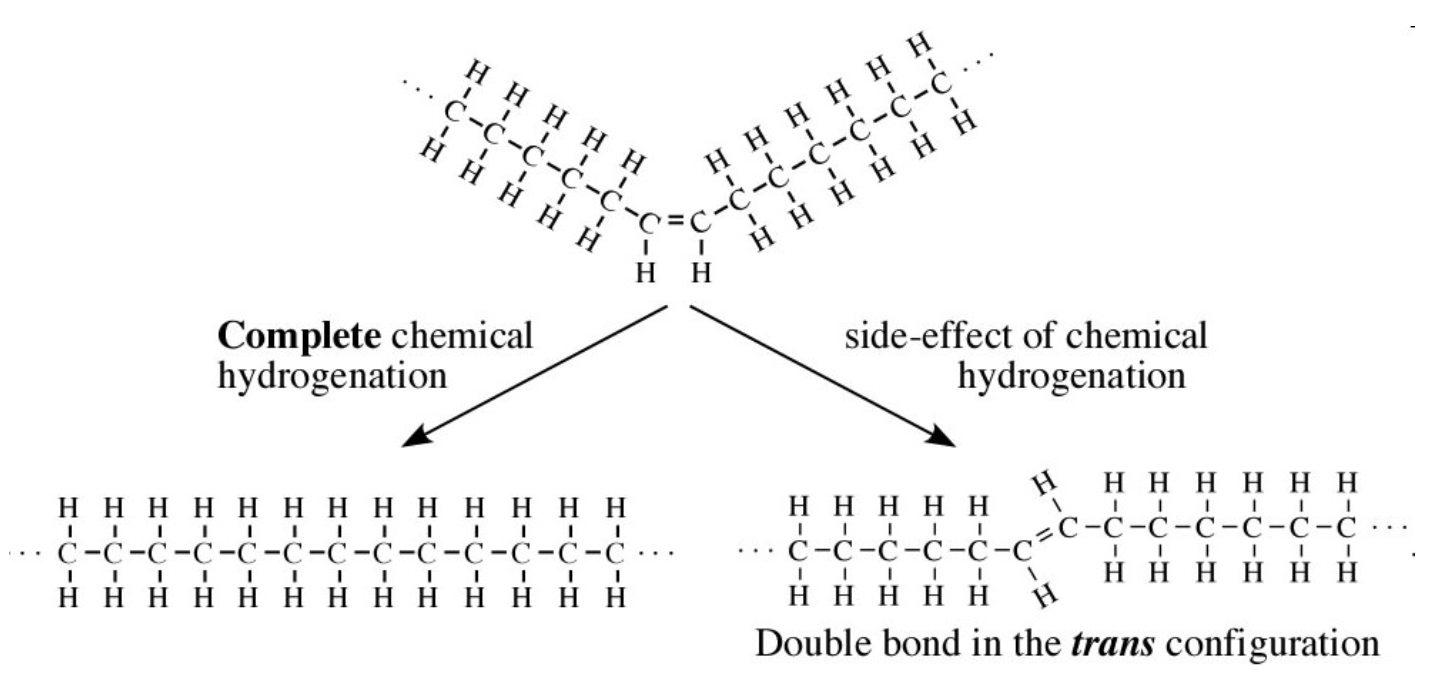 <p>Hydrogaenation is the process of converting unsaturated fatty acids in saturated. Hydrogens are added. This helps to make oils less prone to spoilage.</p>