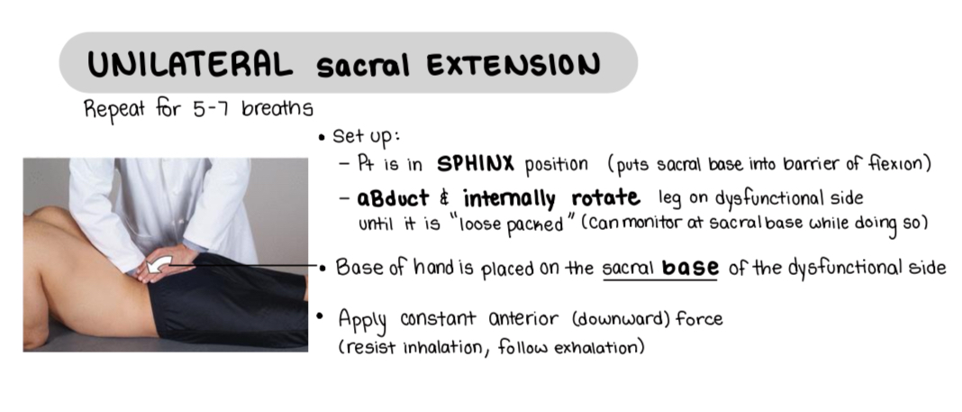 <p>Pt prone, physician stands on opposite side</p><p>Hand monitor PSIS and sacral bases of side of dysfunction</p><p>Abduct and int rot leg of SD</p><p>Place hypothenar on sacral base of side of dysfunction (points caudad), other hand on top (points cephalad)</p><p>Ask pt to Sphinx pose</p><p>Resist on inhale and follow on exhale for 5-7 times</p><p>Reassess sulci</p>