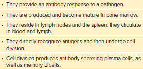 Characteristics of B Cells
