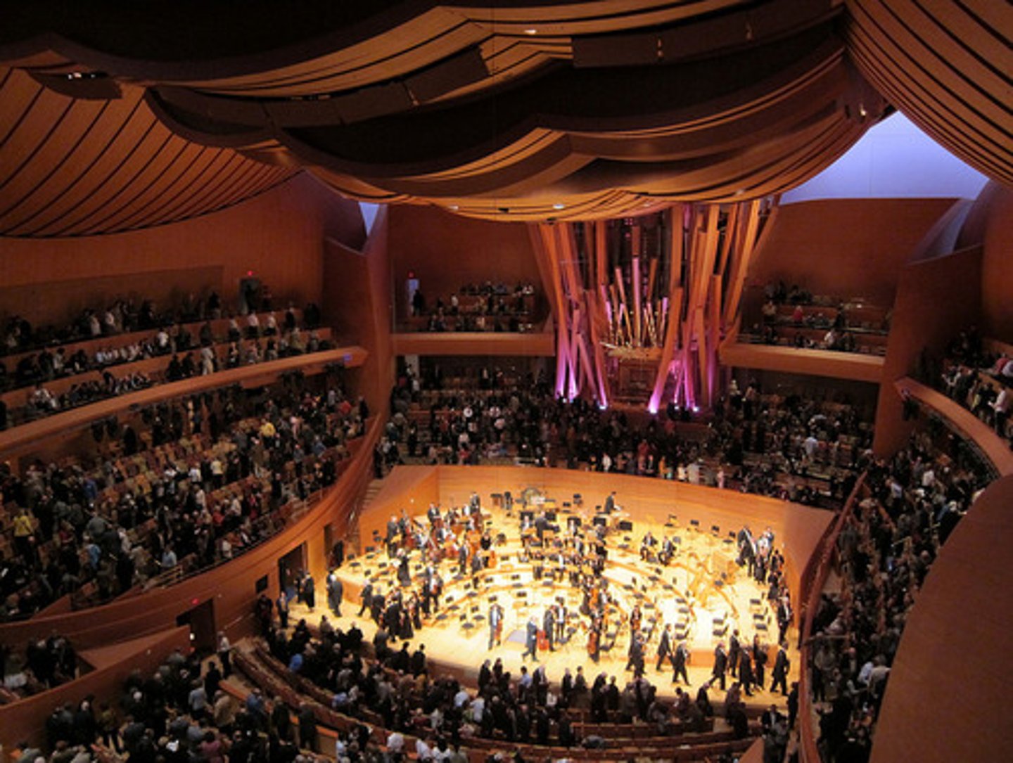<p>el concierto</p>