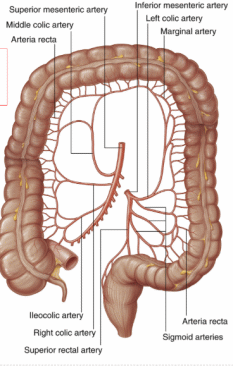 <p>kill yourself arteries </p>