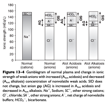 <ul><li><p><span>Hyperphosphatemia can cause a large increase in [Atot] leading to metabolic acidosis</span></p></li><li><p><span>Hyperalbuminemia is rare but can lead to metabolic acidosis</span></p></li><li><p><span>Most important cause of hyperphosphatemic acidosis is renal failure</span></p></li><li><p><span>Treatment for hyperphosphatemic acidosis should be directed at the underlying cause</span></p><ul><li><p><span>Sodium bicarbonate administered IV may be used as an adjunctive therapy in patients with hyperphosphatemic acidosis because the increase in plasma sodium concentration results in an increase in plasma SID, expansion of the extracellular fluid volume, and increased urine production</span></p><ul><li><p><span>This decreases plasma phosphorous concentration</span></p></li></ul></li></ul></li></ul><p></p>