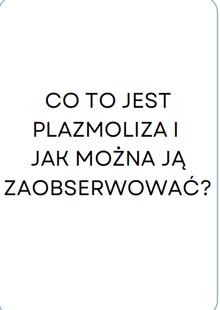 <p>PLAZMOLIZA</p>