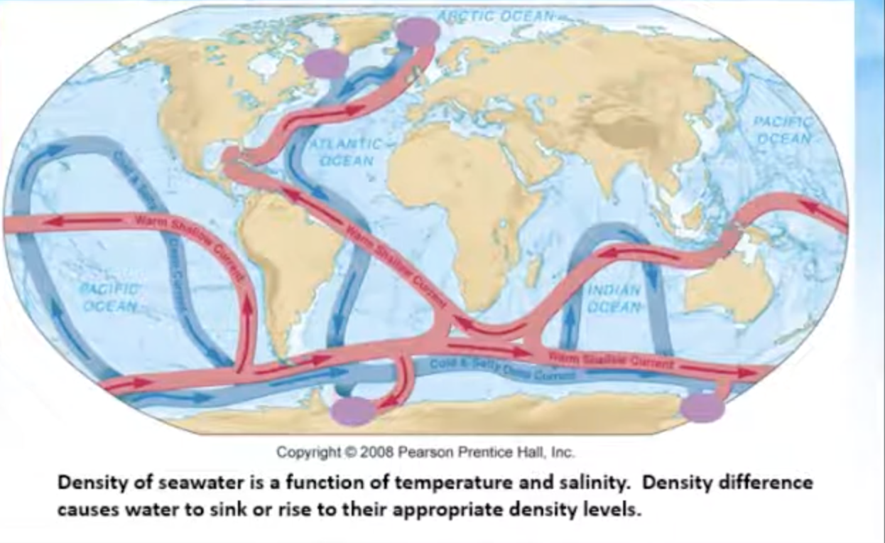 <p>Thermohaline or density driven deep water currents.</p>