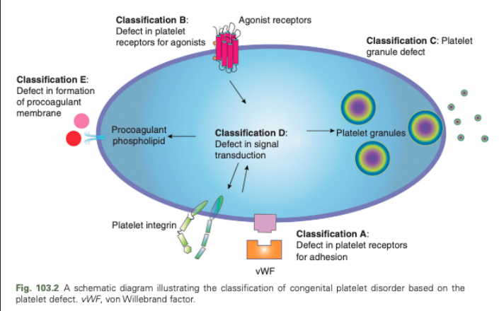 <p>Defect in platelet receptors for adhesion</p>