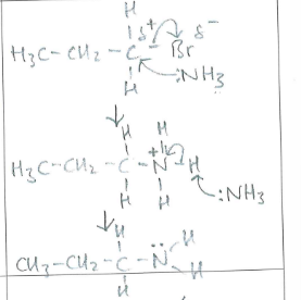 <p>(1)</p><p>Nucleophilic substitution (1) </p>