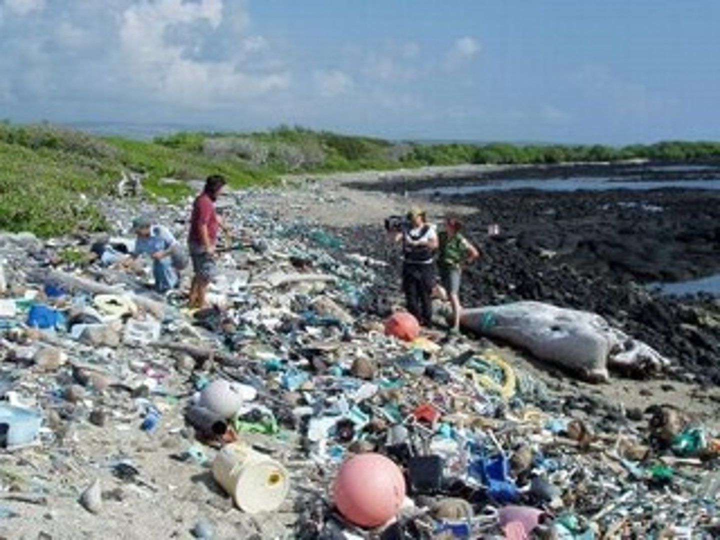 <p>the act of dumping trash &amp; wastes into the ocean; some countries do this, which leads to large floating island of trash in the ocean; threatens marine life</p>