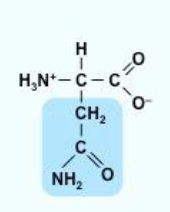 <p> Asn / N</p>