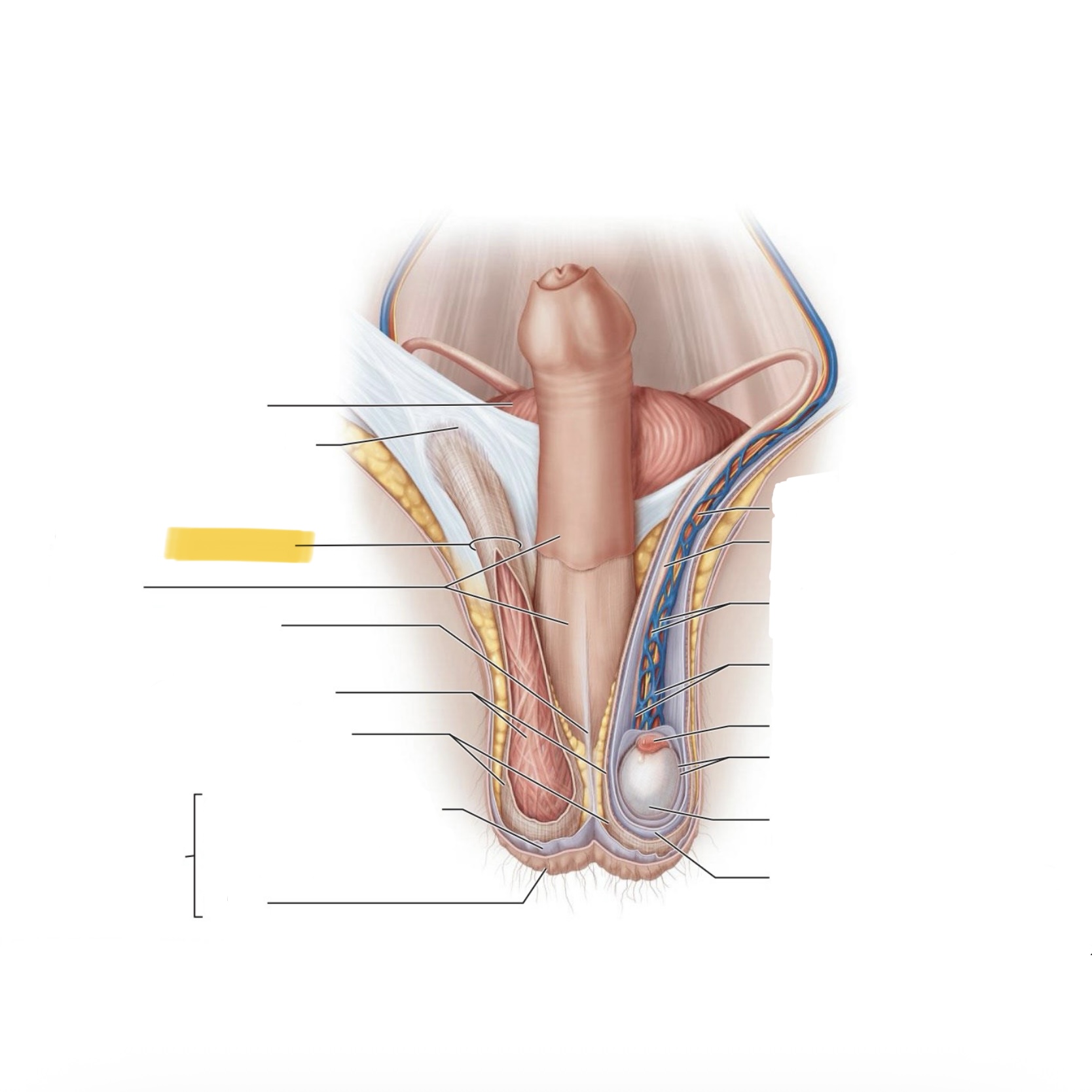 <p>What is this structure?</p>
