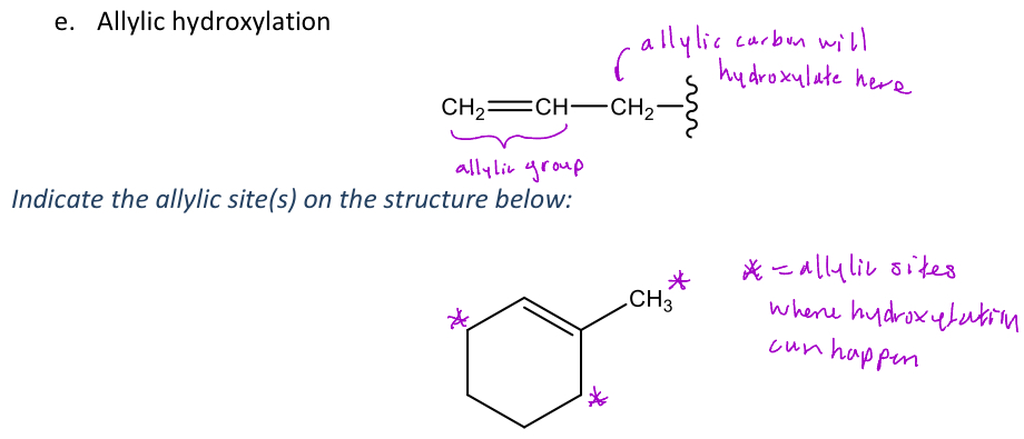 <p>A type of oxidative reaction in phase 1 metabolism where the carbon next to an alkene <em>(allylic carbon)</em></p><p>-The allylic carbon will have an OH group added to it, but <em>it's preferred that the allylic carbon isn't sterically hindered</em></p>