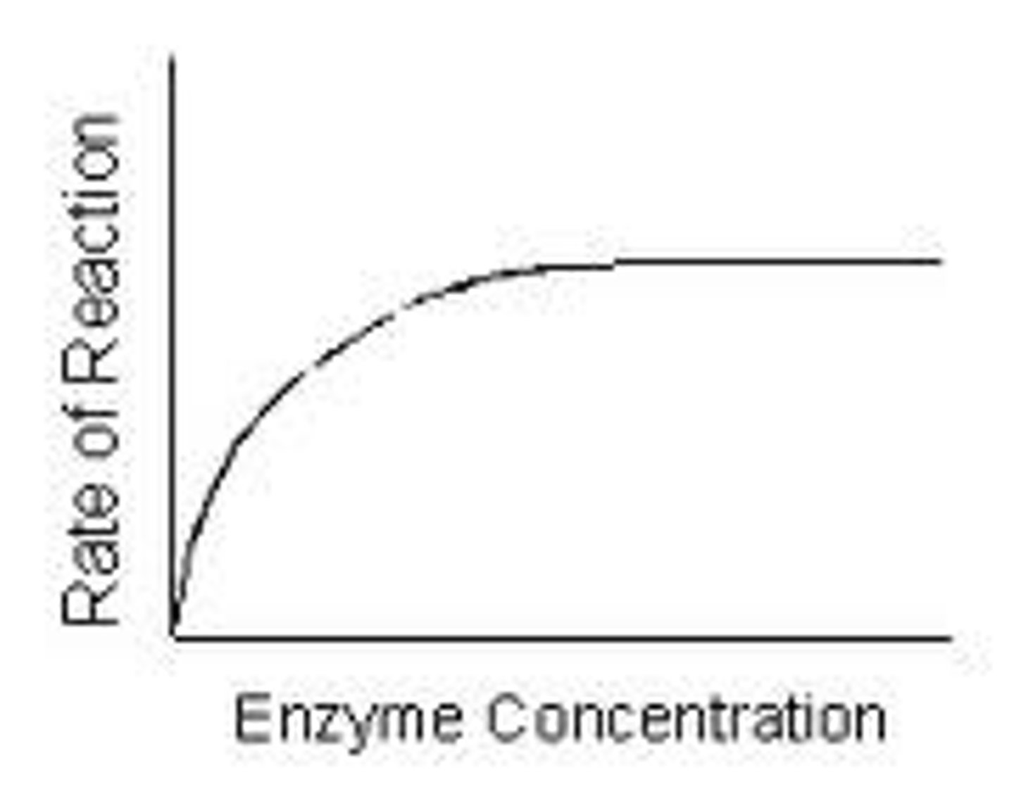 <p>as concentration increases, rate if reaction increases, until x, when increasing concentration does not affect rate of reaction</p><p>enzyme concentration becomes limiting factor</p>