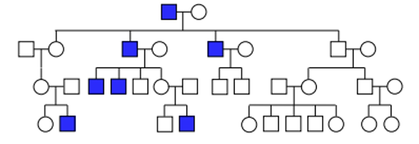 <p>Pattern of inheritance?</p><p>Can it be Y linked? Can it be X-linked?</p>