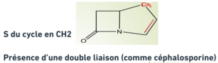 <p><strong>Thiénamycines</strong></p>