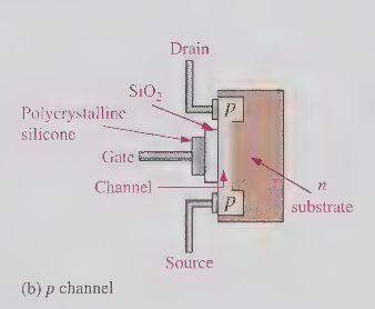 <p>physical channel </p>