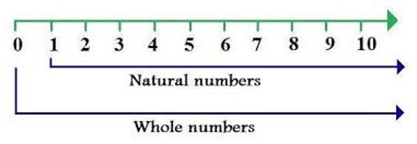 <p>The set of numbers 1, 2, 3, 4, ... Also called counting numbers.</p>