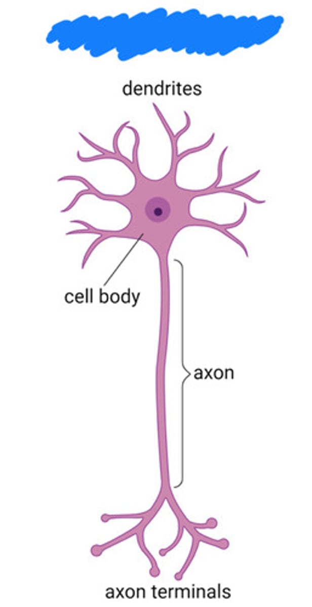 knowt flashcard image