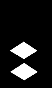 <p>What Rank Is this?</p>