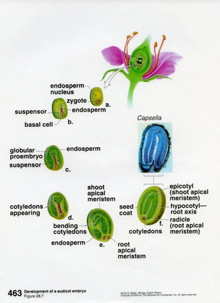 <p>All living things get bigger and change over time</p>