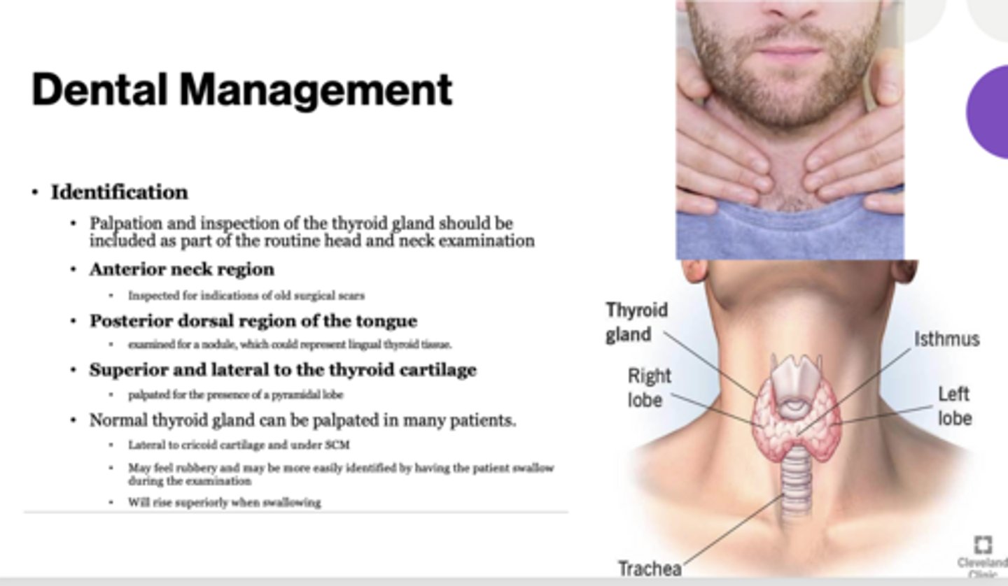 <p>Examined for a nodule, which could represent lingual thyroid tissue</p>