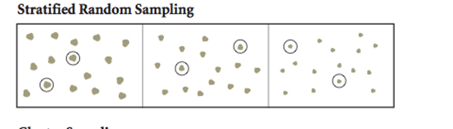 <p>The population is divided into groups called "strata" based on shared characteristics.</p><p>Then, a random sample is taken from each group, and this way, the sample reflects the diversity of the whole population more accurately than simple random sampling would,</p>