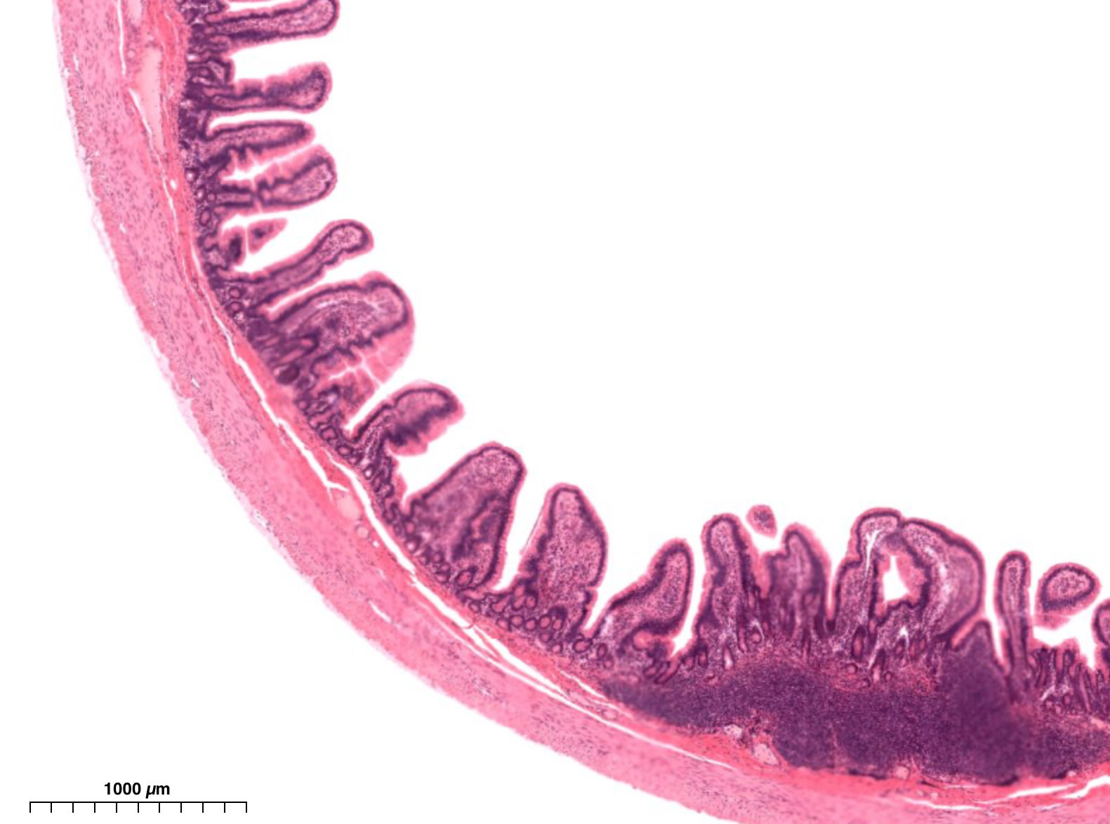 <p>What is this?</p>